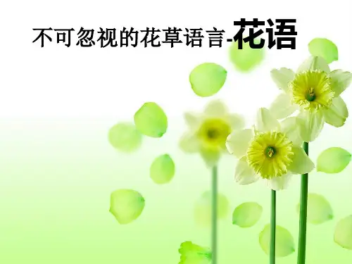 植物创意文化-花语