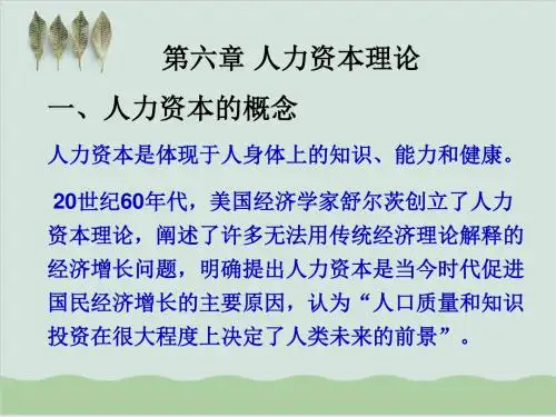 人力资本理论学习培训PPT课件( 29页)