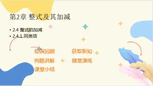 2.4.1同类项  课件(共9张PPT)