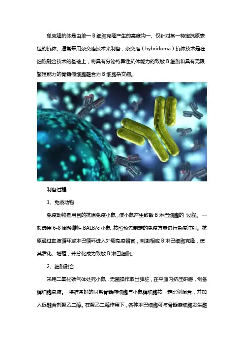 单克隆抗体的制备过程