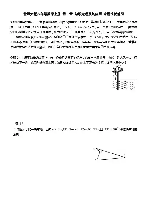 北师大版八年级数学上册 第一章 勾股定理及其应用 专题培优练习