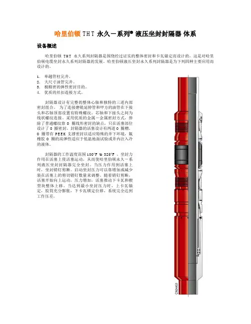 THT封隔器概述