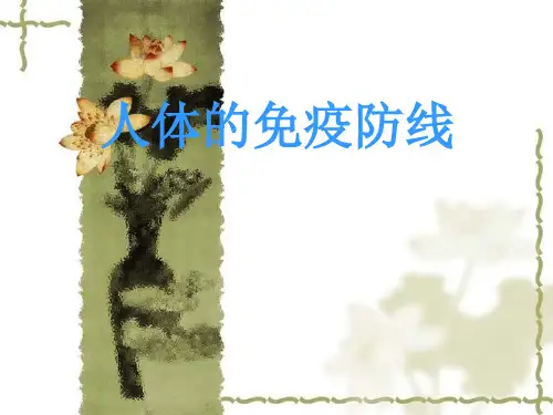 【初中生物】人体的免疫防线ppt
