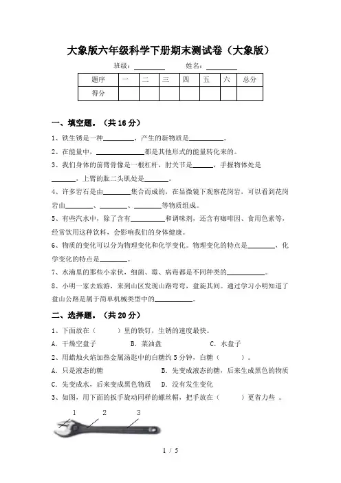 大象版六年级科学下册期末测试卷(大象版)