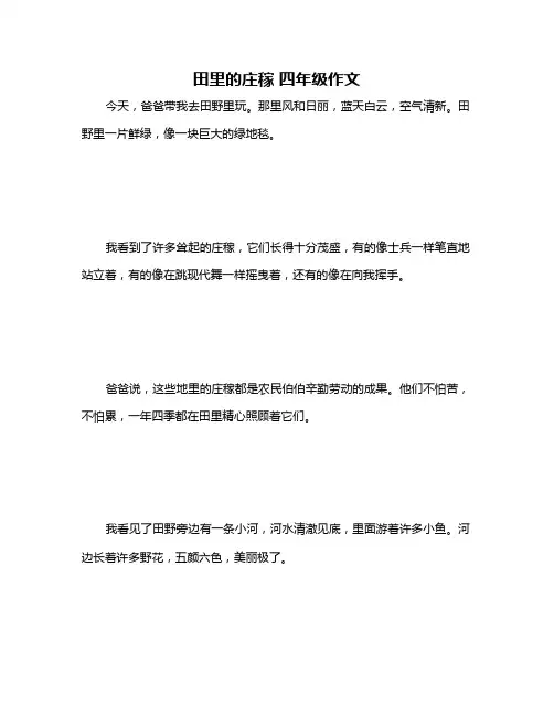 田里的庄稼 四年级作文
