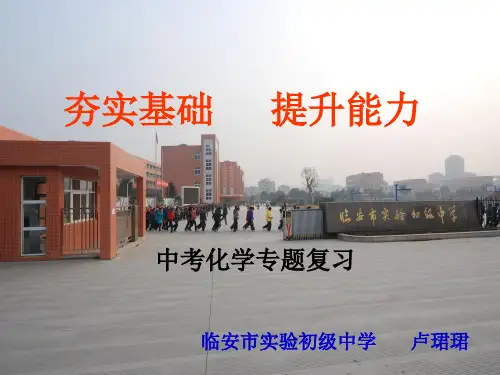 中考化学专题复习PPT课件(初中科学)