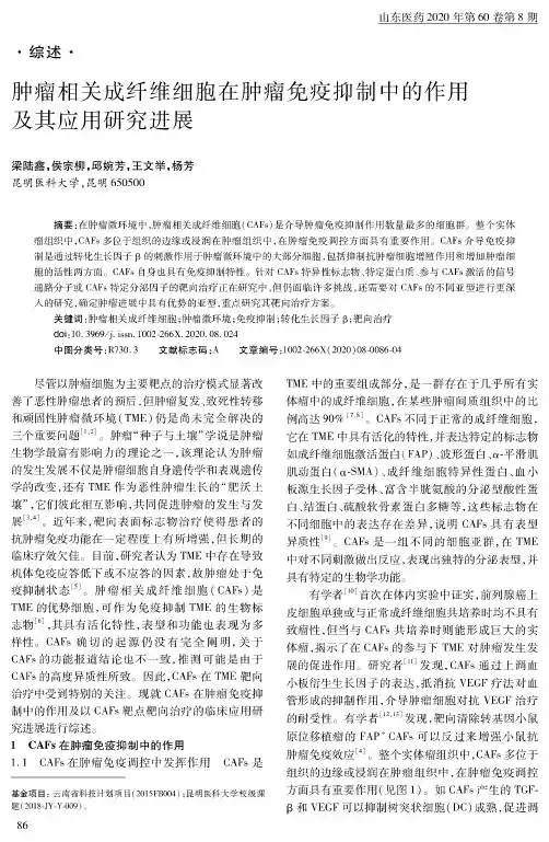 肿瘤相关成纤维细胞在肿瘤免疫抑制中的作用及其应用研究进展