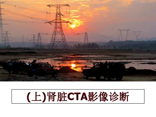 最新(上)肾脏CTA影像诊断
