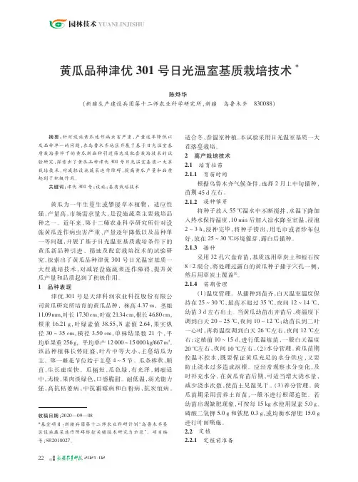 黄瓜品种津优301号日光温室基质栽培技术