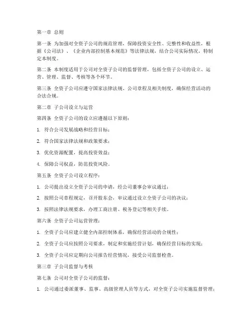 全资子公司监督管理制度