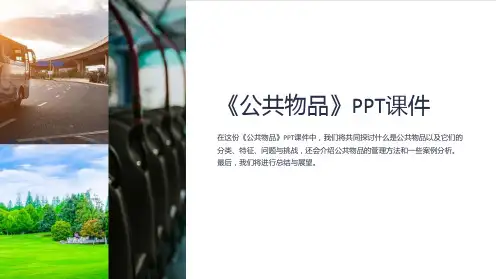 《公共物品》课件
