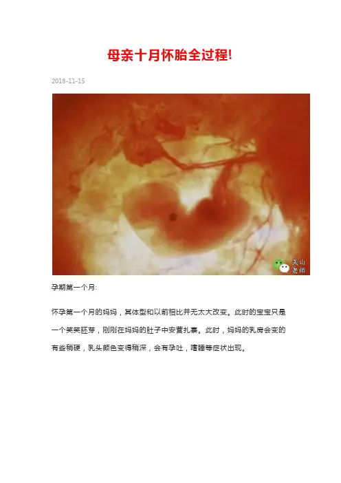 母亲十月怀胎全过程图