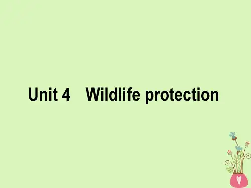 19届高三英语一轮复习Unit4Wildlifeprotection课件2