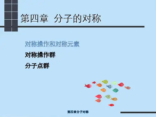 第四章分子对称