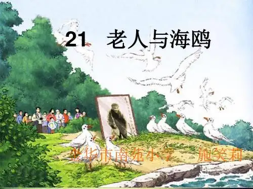 老人与海鸥第一课时课件.ppt