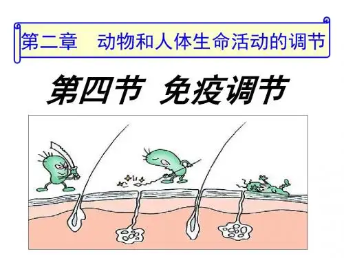 生物必修Ⅲ人教新课标2.4免疫调节课件(共46张)
