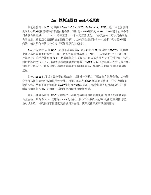 fnr 铁氧还蛋白-nadp+还原酶