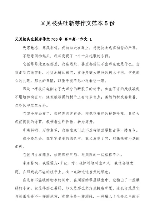 又见枝头吐新芽作文范本5份