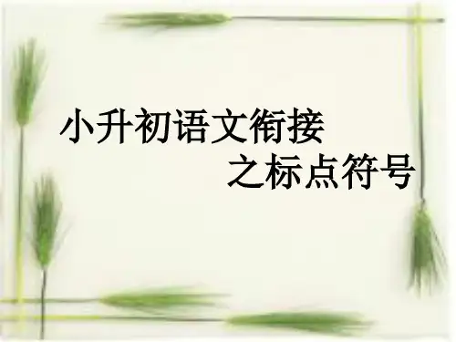小升初语文复习之标点符号专题PPT