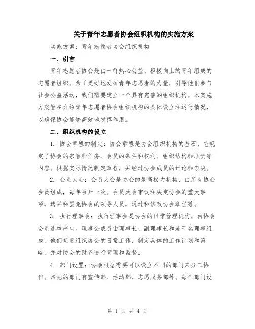 关于青年志愿者协会组织机构的实施方案