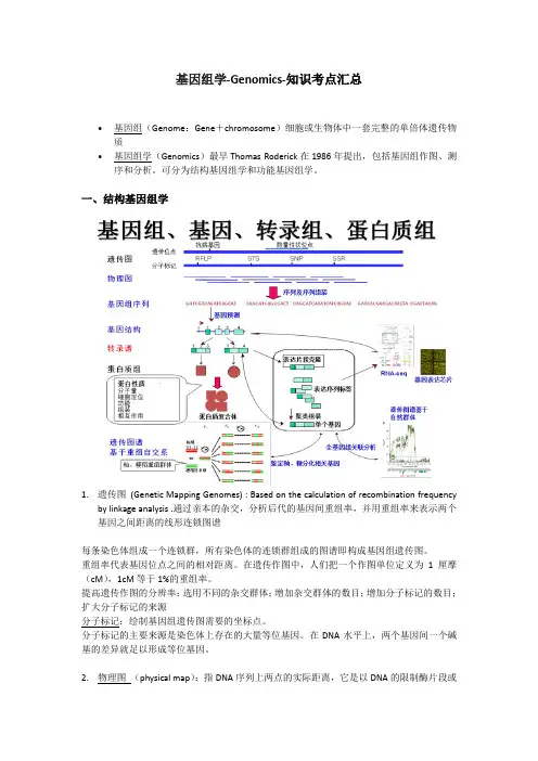 基因组学-Genomics-知识考点汇总