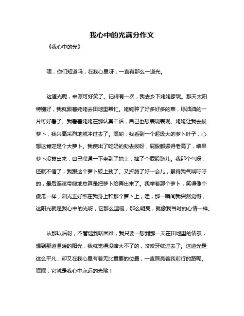 我心中的光满分作文