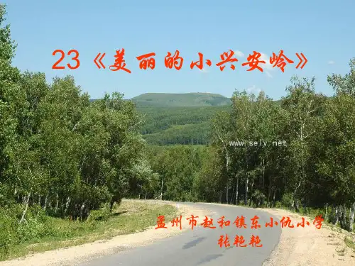 人教版小学语文三年级上册第23课《美丽的小兴安岭》说课稿PPT课件