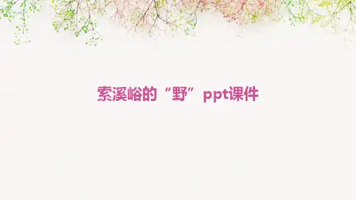 索溪峪的“野”ppt课件