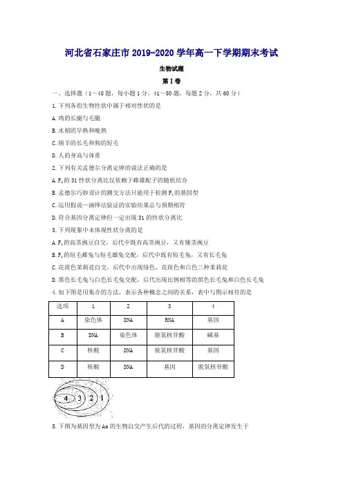 【推荐】河北省石家庄市高一下册第二学期期末考试生物试题-含答案