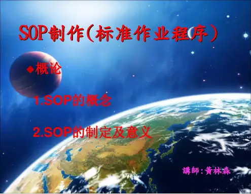 SOP制作(标准作业程序)