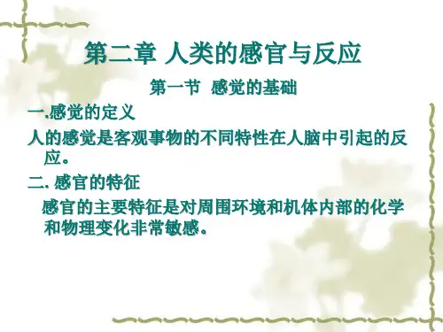 人类的感官与反应