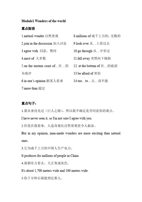 外研版九年级上册重点短语和句子