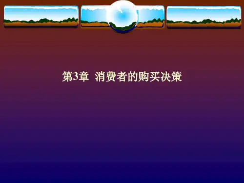 第3章  消费者的购买决策  《消费者行为学》PPT课件