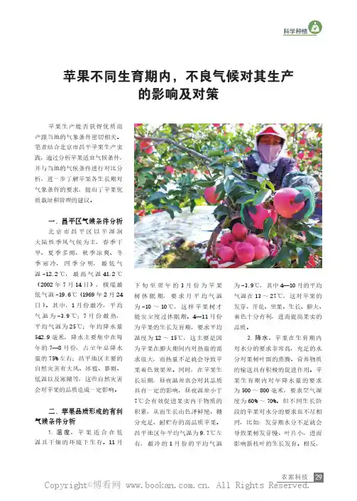 苹果不同生育期内，不良气候对其生产的影响及对策