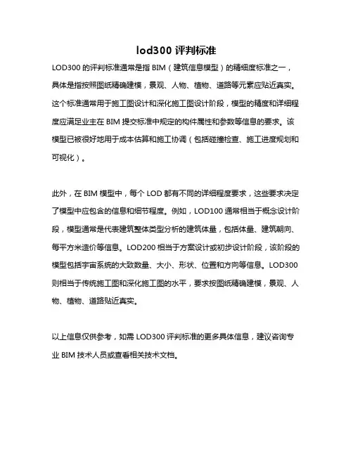 lod300评判标准