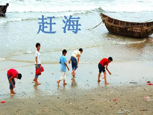 三年级下册语文《25 赶海》课件(1) 苏教版
