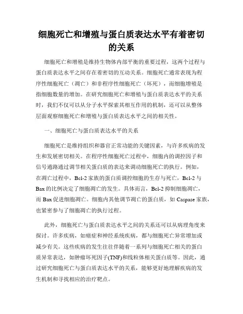 细胞死亡和增殖与蛋白质表达水平有着密切的关系