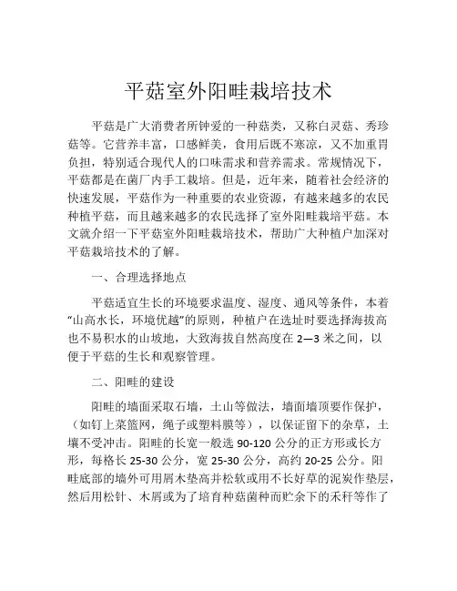 平菇室外阳畦栽培技术