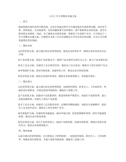 公司三年专项整治实施方案
