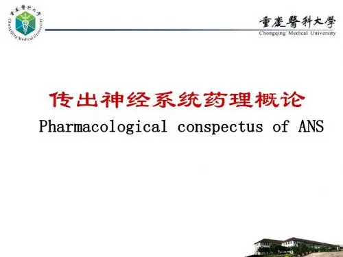 传出神经系统药理概论