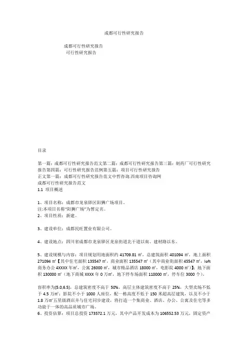 成都可行性研究报告