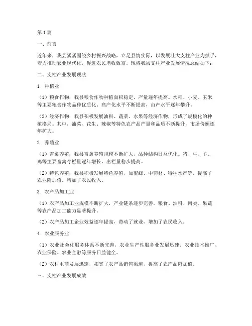 县支柱产业总结报告范文(3篇)