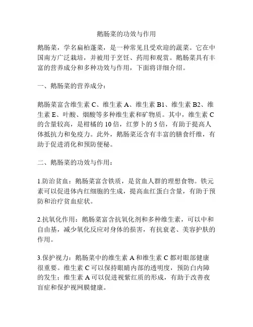 鹅肠菜的功效与作用