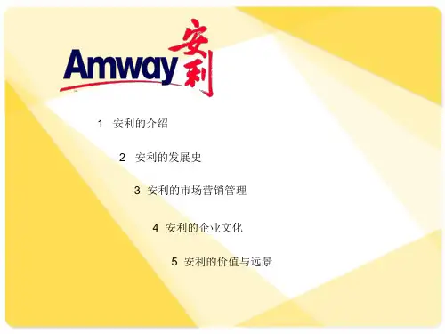 安利公司市场营销详细分析汇总