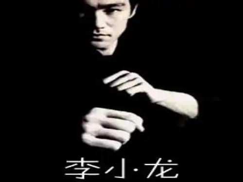李  小  龙  简介