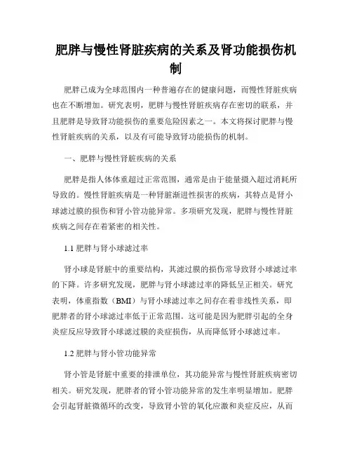 肥胖与慢性肾脏疾病的关系及肾功能损伤机制