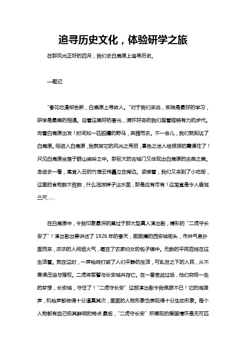 追寻历史作文600字