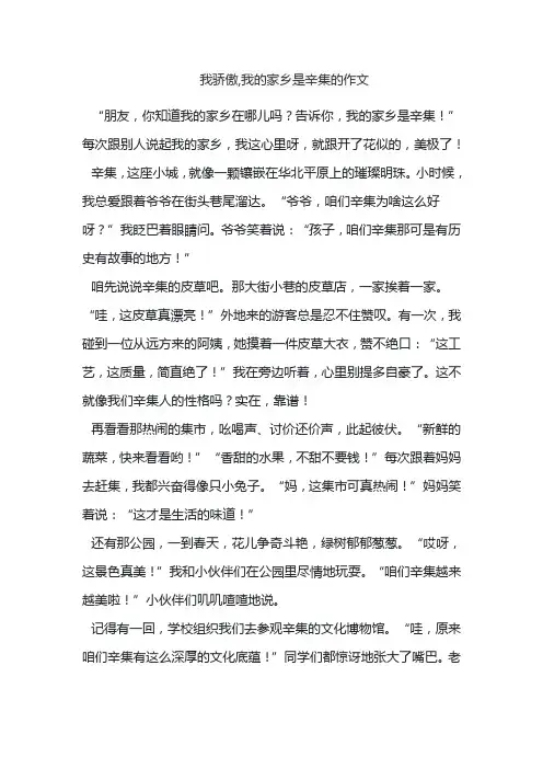 我骄傲,我的家乡是辛集的作文