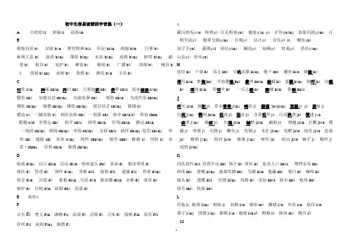 初中生易读错的字词