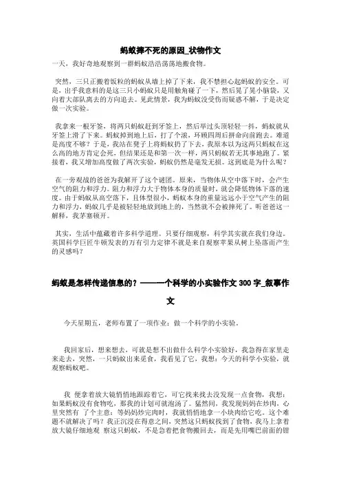 蚂蚁是怎样传递信息的？——一个科学的小实验作文300字_叙事作文